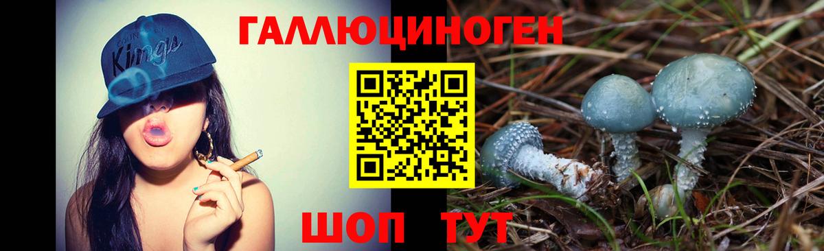 Галлюциногенные грибы ЛСД Кудрово