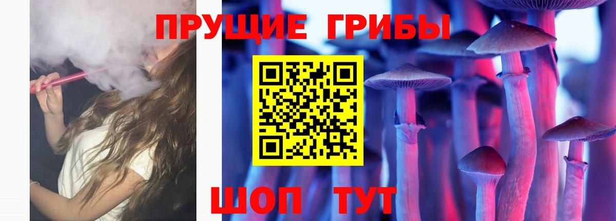 Галлюциногенные грибы Psilocybine cubensis  Вход с VPN  Галлюциногенные грибы мицелий  Кудрово 
